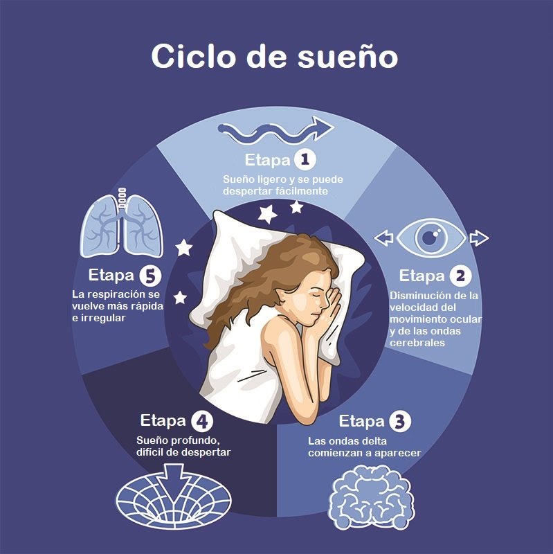 Ciclo de Sueño qEEG BrainStim Centers Mexico